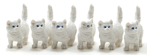 White Kitten, 6pc